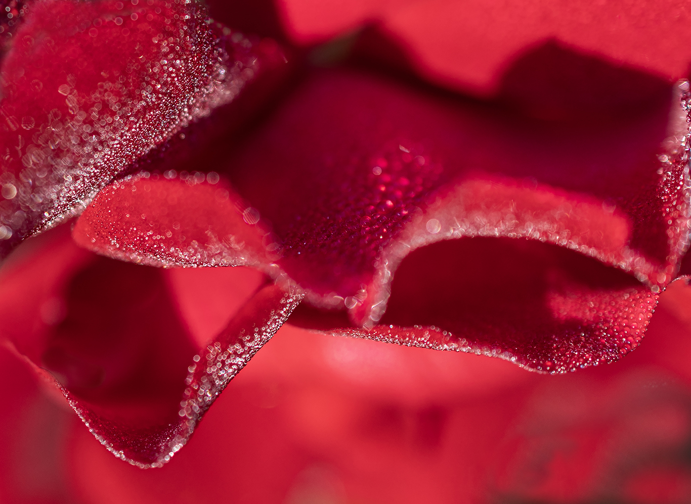 Macro